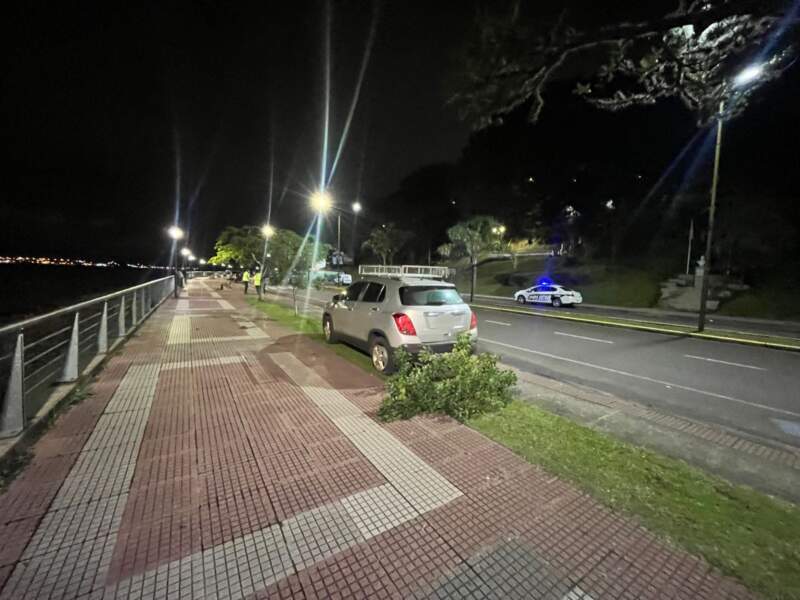 Perdió el control de su camioneta y terminó sobre la vereda en la Costanera de Posadas imagen-12