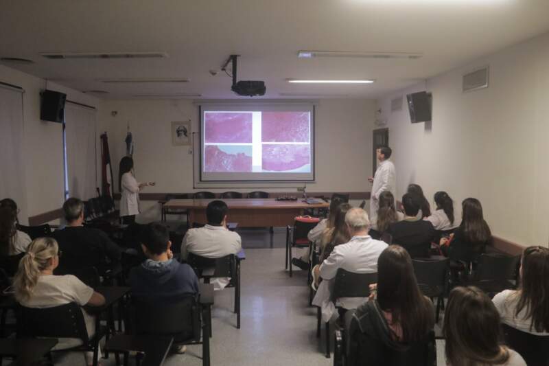 Tuberculosis vulvar: el raro caso que llegó al Madariaga como un presunto cáncer y terminó con un diagnóstico inesperado imagen-2