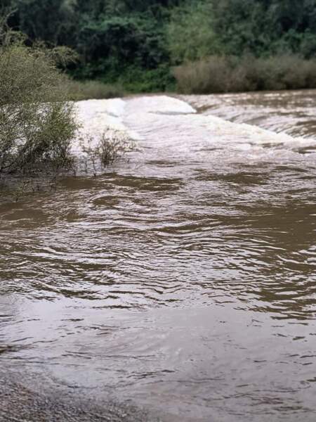 Permanece cerrado el acceso al Parque Provincial Moconá por la crecida del arroyo Yabotí imagen-9