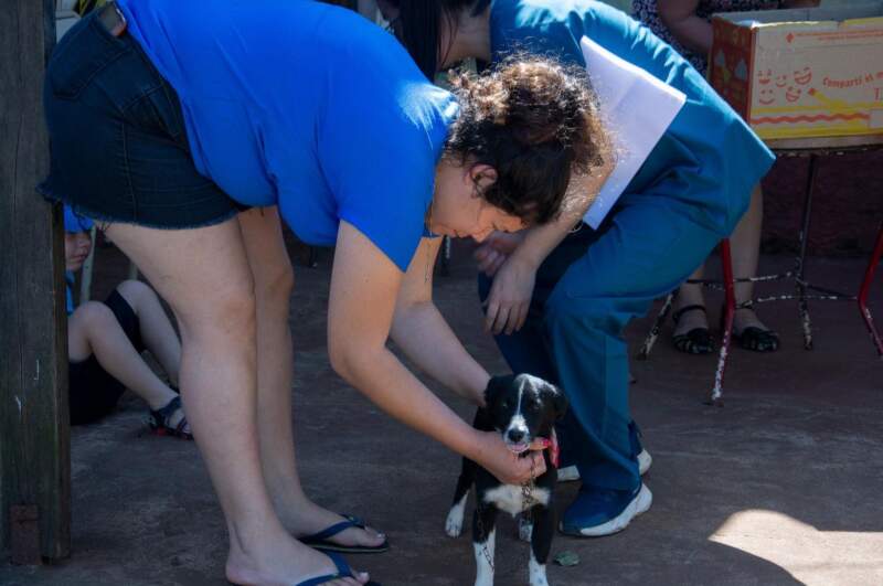 Sanidad animal: San Javier consolida una demanda histórica de la comunidad 7 Sanidad animal: San Javier consolida una demanda histórica de la comunidad imagen-6