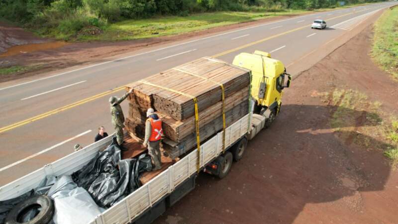 Ecología refuerza controles forestales sobre el transporte de madera nativa en la zona norte de la provincia imagen-6