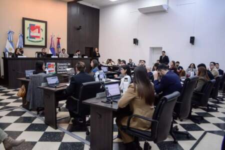 Concejales aprobaron la creación del Régimen Bienal "Premios Arandú" imagen-4