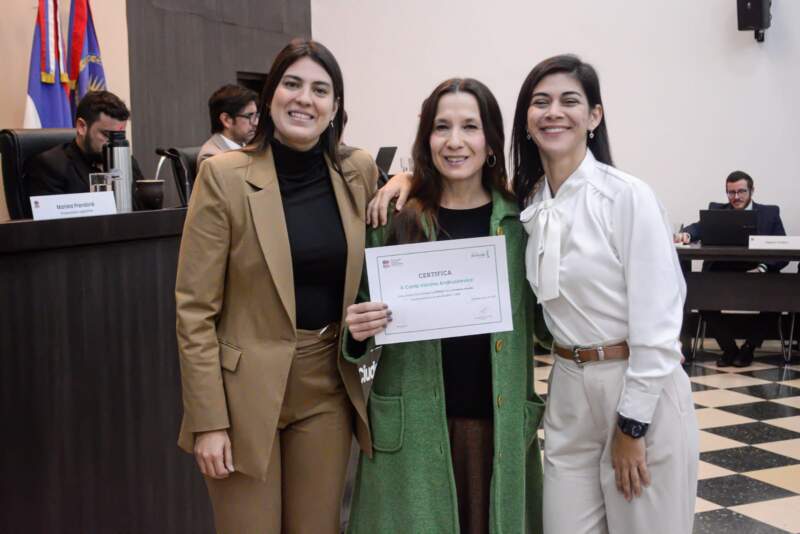 Concejales aprobaron la creación del Régimen Bienal "Premios Arandú" imagen-4