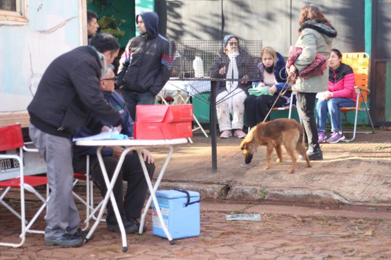 El Quirófano Móvil llegó a San Isidro: alta demanda de castraciones y vacunación gratuita para mascotas imagen-20