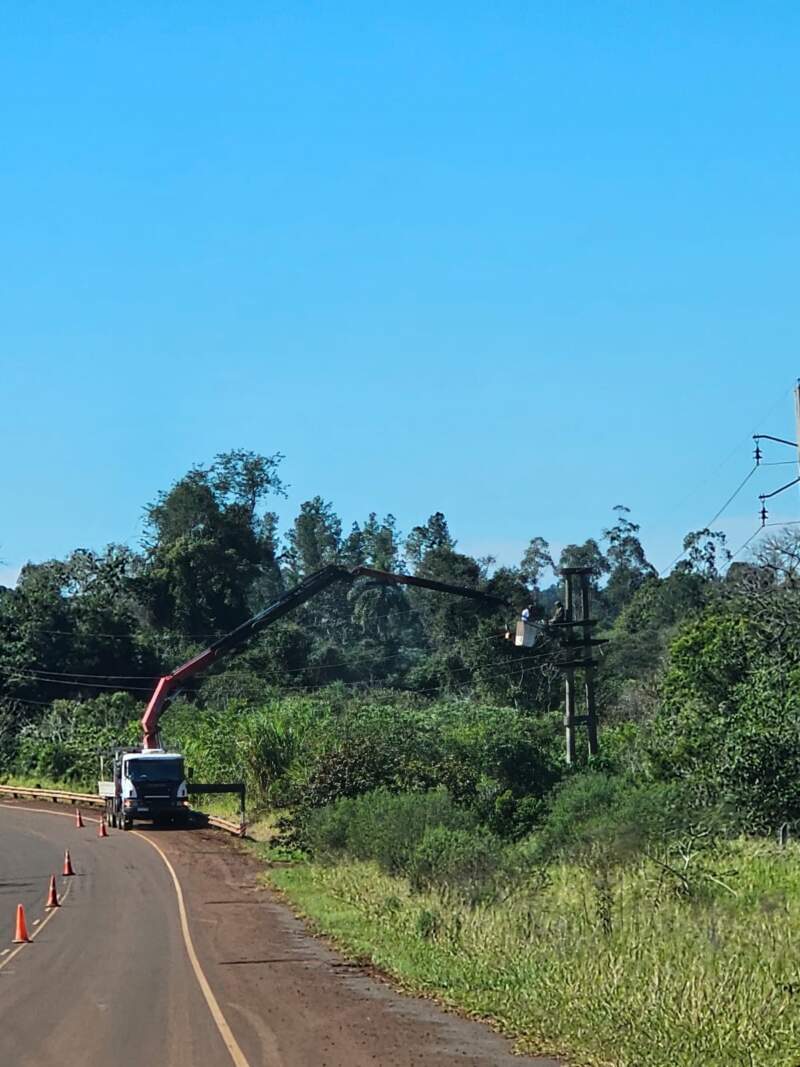 Culmina recambio de aisladores en la línea troncal Wanda–Andresito imagen-8