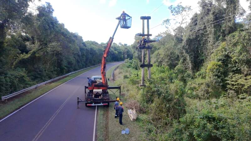 Culmina recambio de aisladores en la línea troncal Wanda–Andresito imagen-16