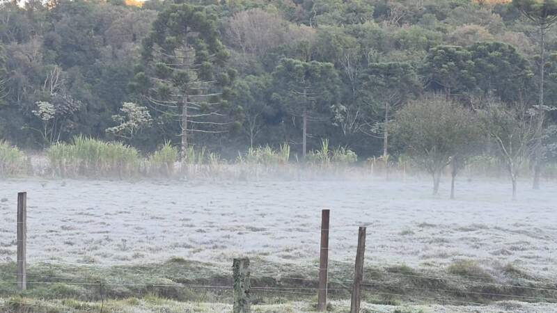 Misiones amaneció con heladas: la explicación detrás de la escarcha que cubrió distintos puntos de la provincia imagen-12