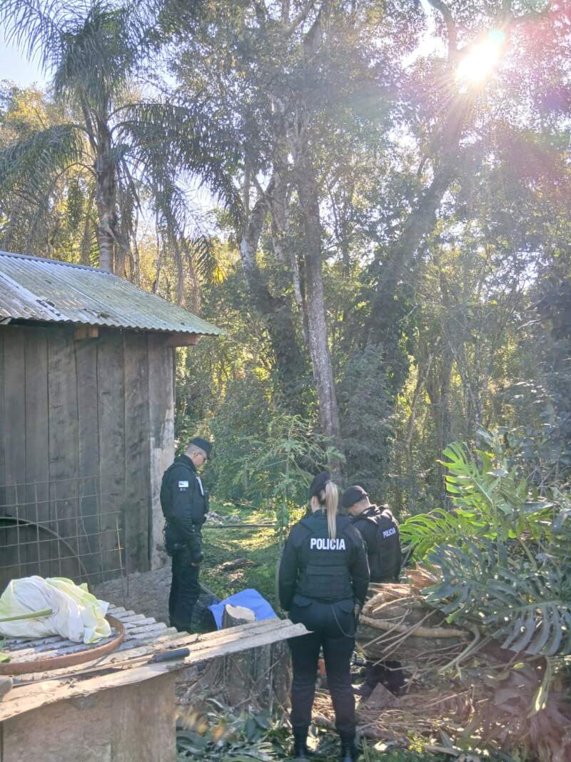 Un hombre falleció mientras realizaba tareas de poda en El Soberbio imagen-2