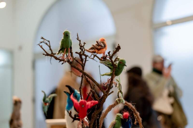 Passalacqua asistió a la presentación del libro "Aves de Misiones y de la Selva Atlántica" imagen-14