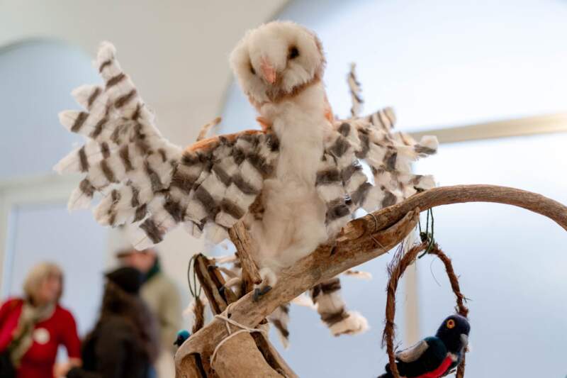 Passalacqua asistió a la presentación del libro "Aves de Misiones y de la Selva Atlántica" imagen-18