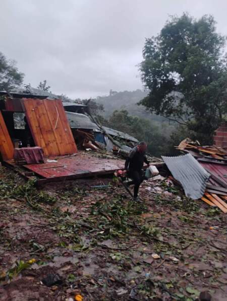 La caída de un árbol dañó una vivienda en Bernardo de Irigoyen tras las intensas lluvias imagen-7