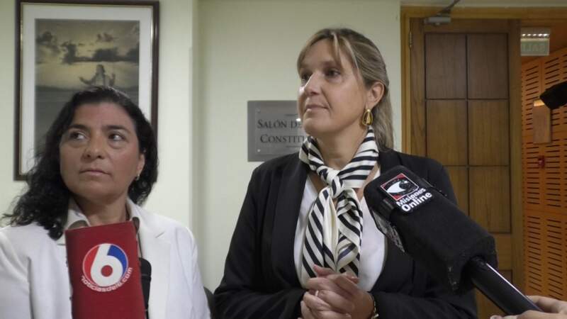 Con la mira en una red de derivación temprana, especialistas advirtieron que "la fertilidad no espera" imagen-10