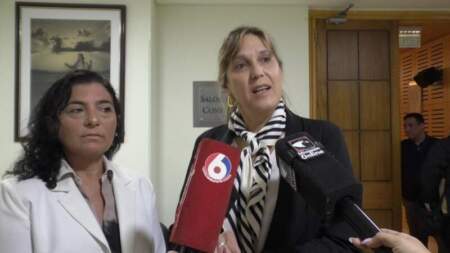 Con la mira en una red de derivación temprana, especialistas advirtieron que "la fertilidad no espera" imagen-5