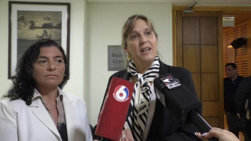 Con la mira en una red de derivación temprana, especialistas advirtieron que "la fertilidad no espera" imagen-6