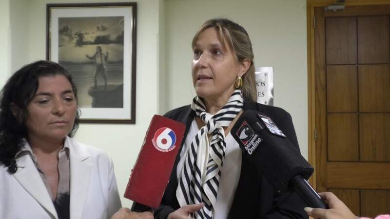 Con la mira en una red de derivación temprana, especialistas advirtieron que "la fertilidad no espera" imagen-12