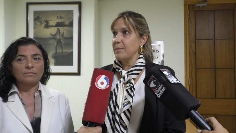 Con la mira en una red de derivación temprana, especialistas advirtieron que "la fertilidad no espera" imagen-4