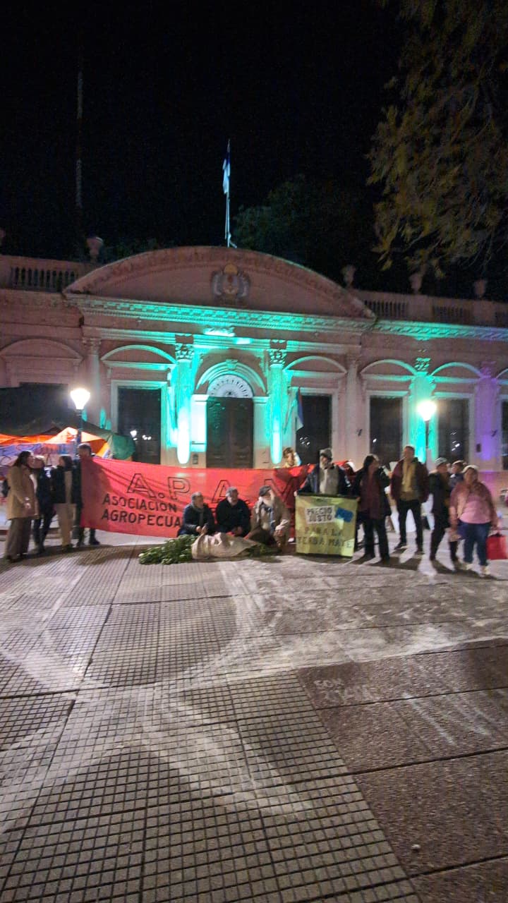 Con fuerte reclamo por la desregulación, se realizó el "Cine Debate Yerbatero" en Posadas imagen-2