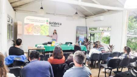 Producción sustentable: comenzó un taller para aprender a cultivar plantines hortícolas y medicinales Producción sustentable: comenzó un taller para aprender a cultivar plantines hortícolas y medicinales imagen-4
