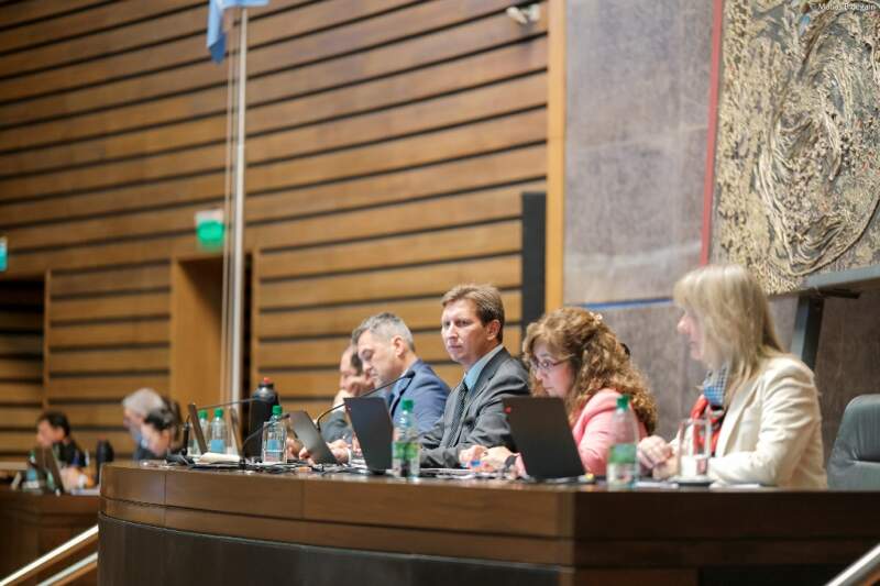 Proteger a las infancias y fortalecer la vinculación adoptiva: dos nuevas leyes para los misioneros 3 Proteger a las infancias y fortalecer la vinculación adoptiva: dos nuevas leyes para los misioneros imagen-2