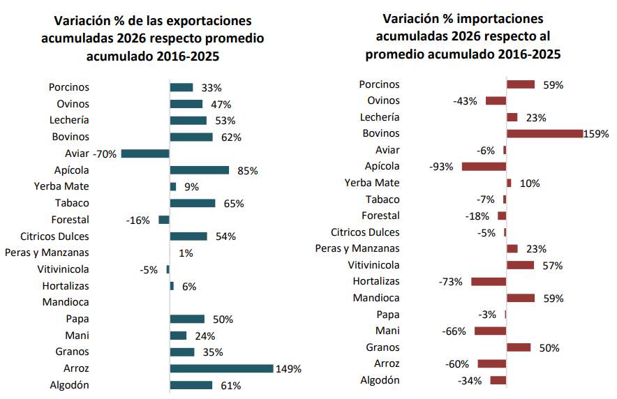 Semáforo de Coninagro: la Yerba Mate y la Mandioca siguen en rojo imagen-5