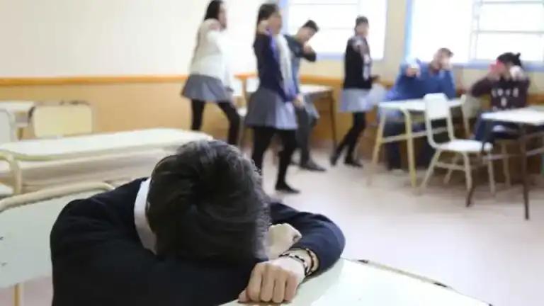 Acoso escolar: recuerdan el protocolo que deben aplicar las escuelas de Misiones ante casos de bullying Acoso escolar: recuerdan el protocolo que deben aplicar las escuelas de Misiones ante casos de bullying imagen-50