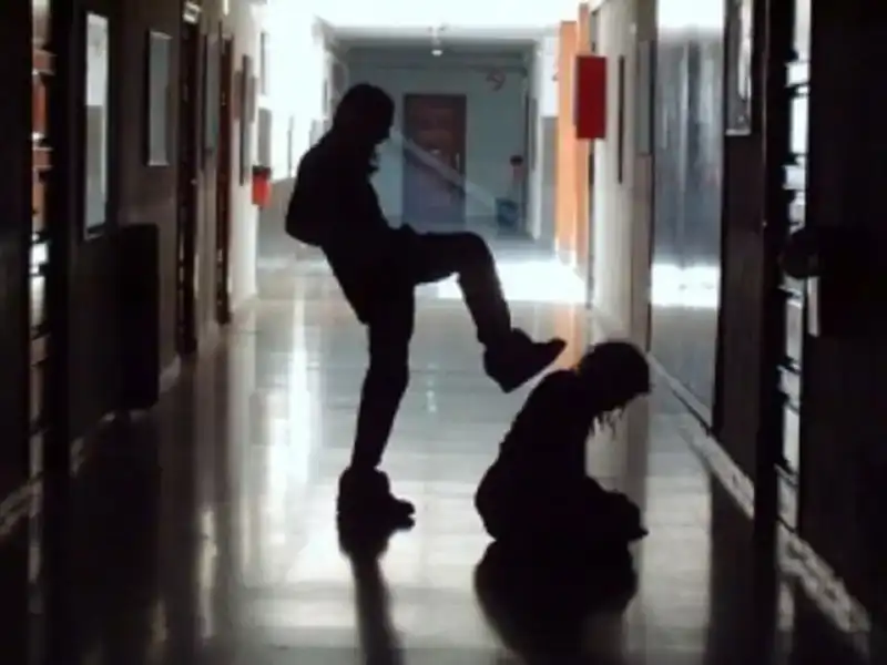 Acoso escolar: recuerdan el protocolo que deben aplicar las escuelas de Misiones ante casos de bullying imagen-12