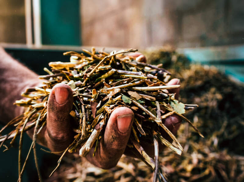 Misiones sale a competir con el mundo: 12 marcas participarán del primer Mundial de la Yerba Mate imagen-10