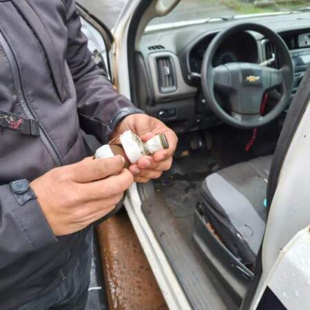 Apareció una granada de guerra en un barrio de Posadas: la Policía activó el protocolo para resguardo imagen-5