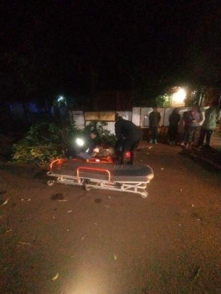 Intentó robar paltas pero cayó del árbol y terminó con graves lesiones: fue operado de urgencia en Posadas imagen-4