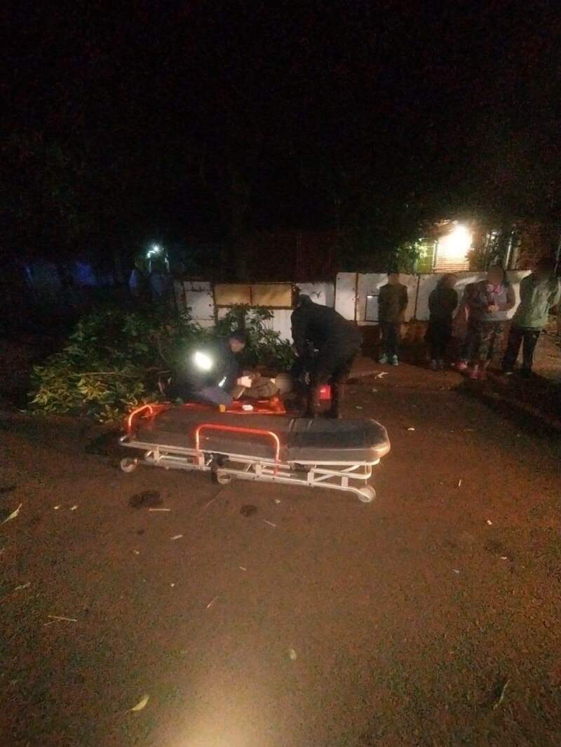 Intentó robar paltas pero cayó del árbol y terminó con graves lesiones: fue operado de urgencia en Posadas imagen-12
