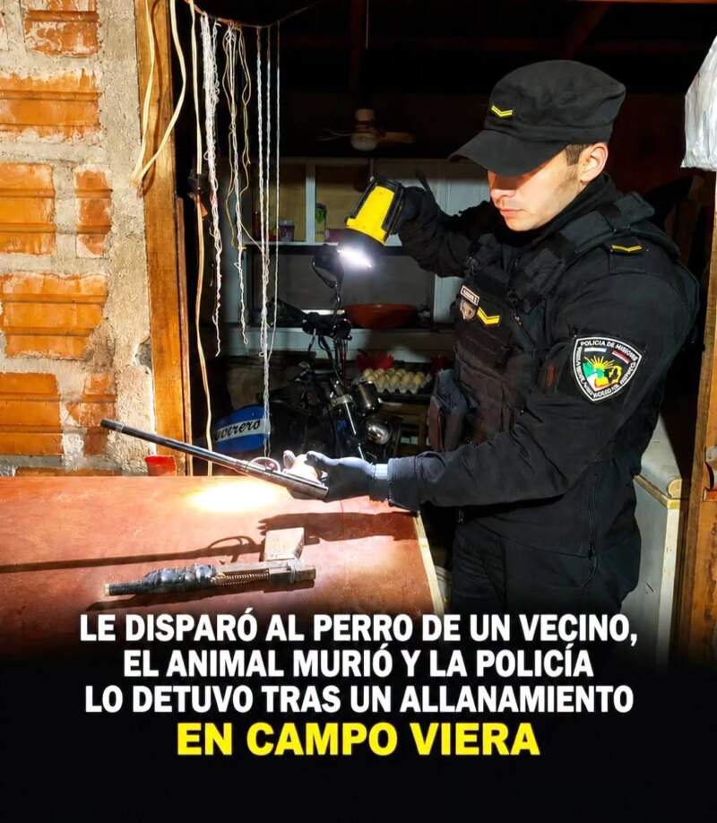 Mató de un disparo a la mascota de su vecino y la Justicia ordenó su detención en Campo Viera imagen-12