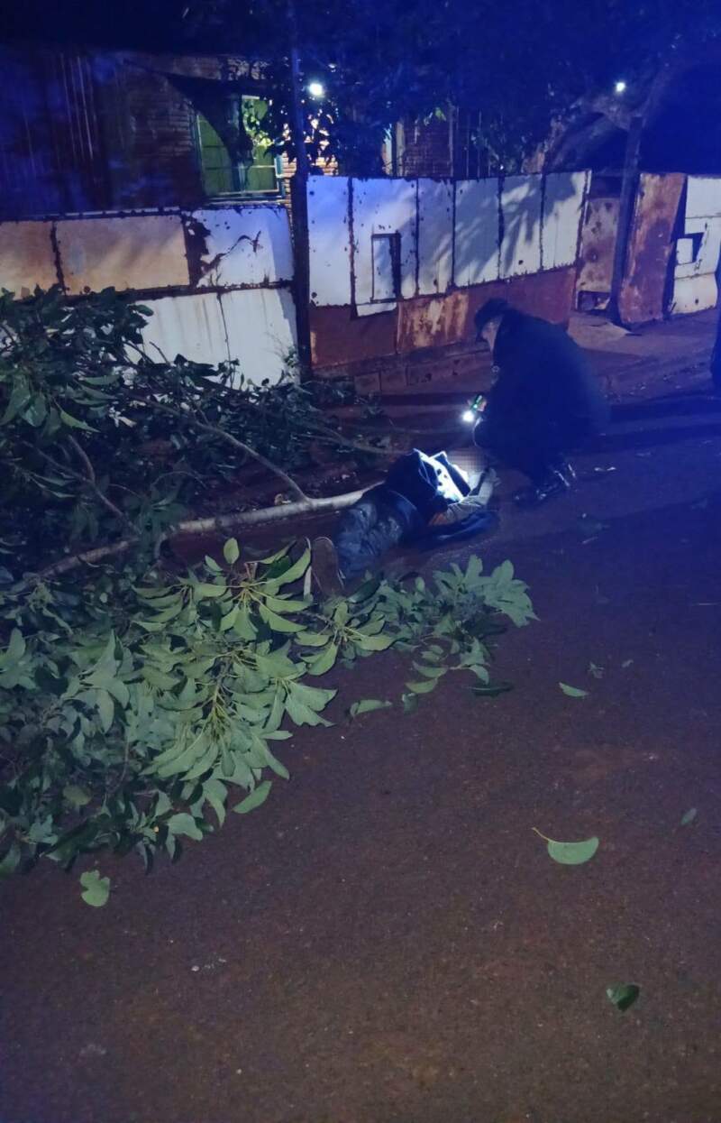 Intentó robar paltas pero cayó del árbol y terminó con graves lesiones: fue operado de urgencia en Posadas 3 Intentó robar paltas pero cayó del árbol y terminó con graves lesiones: fue operado de urgencia en Posadas imagen-2