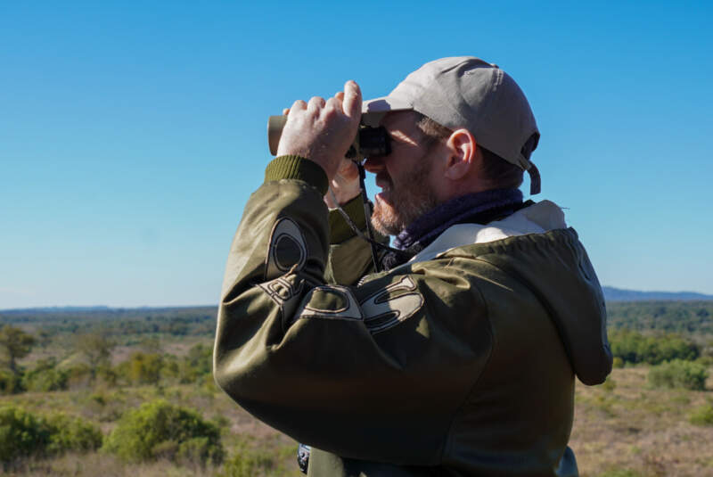 Con más de 550 especies registradas, Misiones se consolida como un destino líder en observación de aves 5 Con más de 550 especies registradas, Misiones se consolida como un destino líder en observación de aves imagen-4