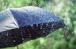 El Niño traerá un invierno frío, muy húmedo y lluvias extendidas hasta el otoño del próximo año en Misiones imagen-11