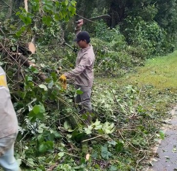 Temporal: activan trabajo inmediato en Andresito ante los efectos del clima imagen-10