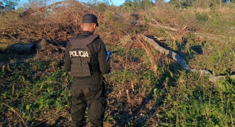 Murió un trabajador rural al ser aplastado por un árbol mientras realizaba tareas de poda en El Soberbio imagen-6