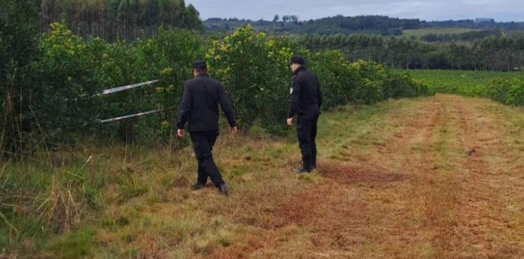 Hallaron sin vida a una adolescente de 16 años en una chacra de Campo Ramón: investigan las circunstancias de su muerte imagen-12