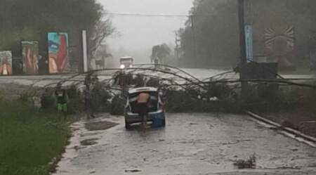 Un fuerte temporal provocó destrozos y cortes de servicios en la zona de El Alcázar y Colonia Luján Un fuerte temporal provocó destrozos y cortes de servicios en la zona de El Alcázar y Colonia Luján imagen-5