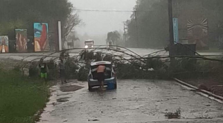 Un fuerte temporal provocó destrozos y cortes de servicios en la zona de El Alcázar y Colonia Luján Un fuerte temporal provocó destrozos y cortes de servicios en la zona de El Alcázar y Colonia Luján imagen-9