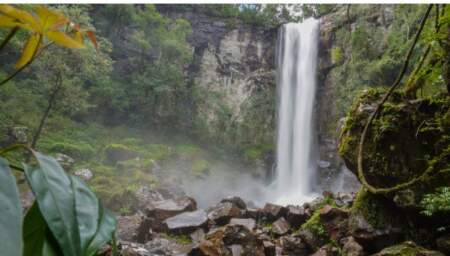 Intendentes misioneros piden a los Senadores rechazar el proyecto que elimina límites a la venta de tierras a extranjeros Intendentes misioneros piden a los Senadores rechazar el proyecto que elimina límites a la venta de tierras a extranjeros imagen-5