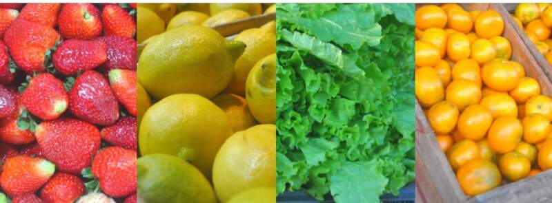 Frutas y verduras al mejor precio y calidad: la guía de ofertas del Mercado Central de Misiones para esta semana imagen-13