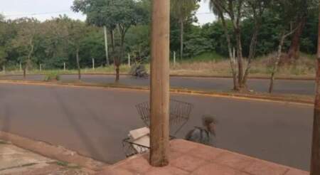 La inseguridad no da tregua en la Chacra 245: un vecino resultó herido al perseguir a un ladrón La inseguridad no da tregua en la Chacra 245: un vecino resultó herido al perseguir a un ladrón imagen-17