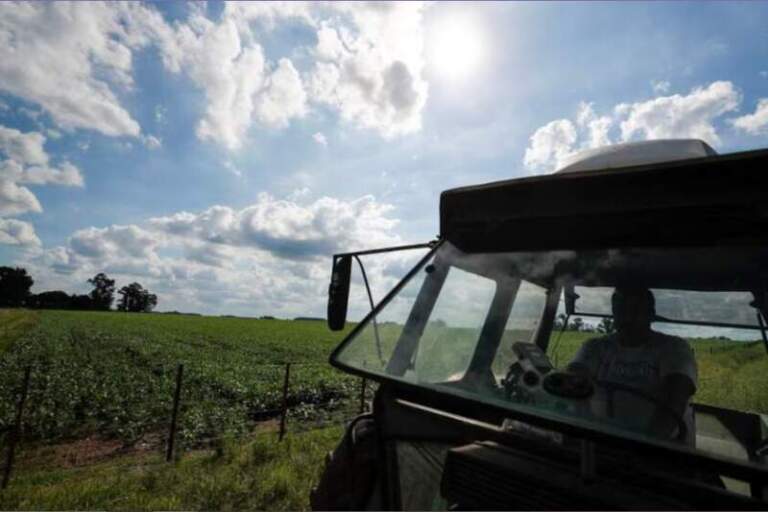 El Gobierno busca cambiar la Ley de Tierras: las provincias decidirán sobre la venta de campos a extranjeros y crece la polémica imagen-28
