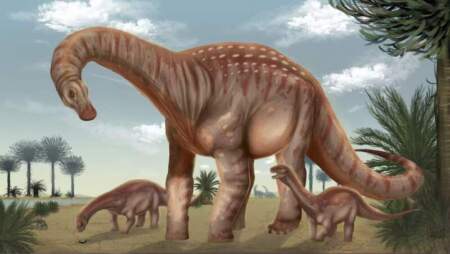 Descubren en Uruguay un dinosaurio gigante de 83 millones de años: el "Protector" que reescribe parte de la historia prehistórica imagen-35