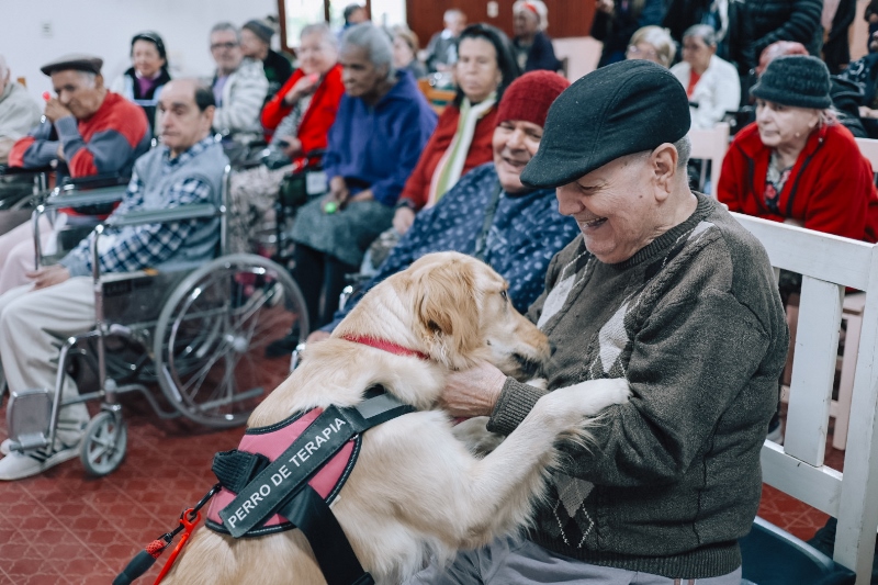 Finalizó un ciclo de neuroestimulación y terapia asistida con perros para adultos mayores del Monoclínico de Miguel Lanús imagen-12