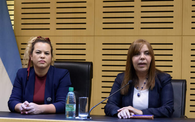 Una jornada provincial fortaleció el abordaje de las enfermedades poco frecuentes en la Legislatura imagen-2