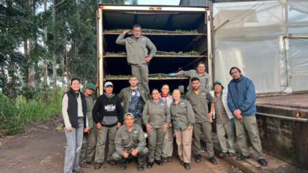 Biofábrica Misiones consolida su proyección nacional con un nuevo envío de plantines de banano imagen-5