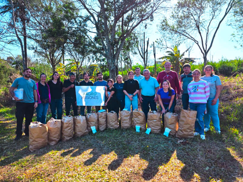 Misiones fortalece la producción de jengibre en la zona centro de la provincia imagen-6