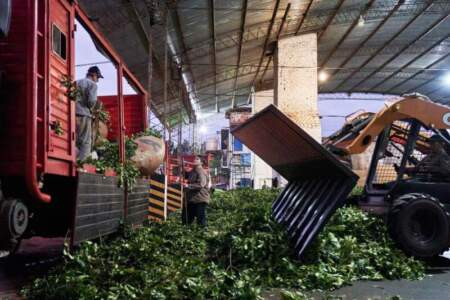 Remarcan que el informe mensual de Coninagro expone la crisis que atraviesa la mayoría de las economías regionales Remarcan que el informe mensual de Coninagro expone la crisis que atraviesa la mayoría de las economías regionales imagen-2