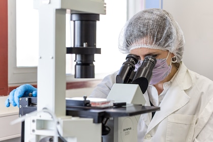 Fuga de cerebros: la Academia Nacional de Ciencias alertó que Argentina podría perder una nueva generación de investigadores imagen-11